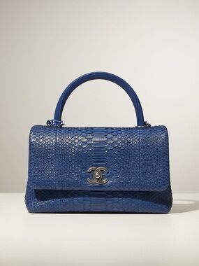 Chanel Coco Handle Blue Python Top Handle Bag Exotic Rare CC Gold HW